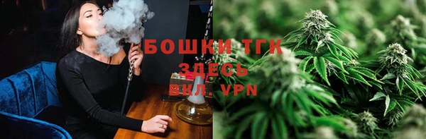 эйфоретик Иннополис