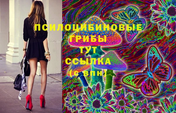 амф Абдулино