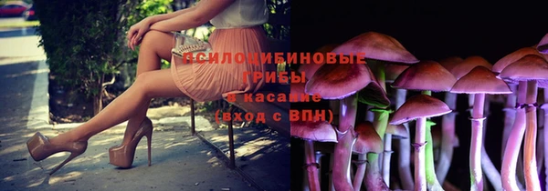 МДПВ Горно-Алтайск